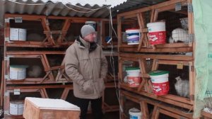 Самая дешевая профилактика кокцидиоза у кроликов!!!