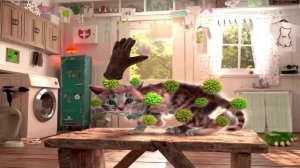 Little Kitten My Favorite Cat Cute Kitten Advemtures - Play Fun Cute Kitten Pet Care Part 8