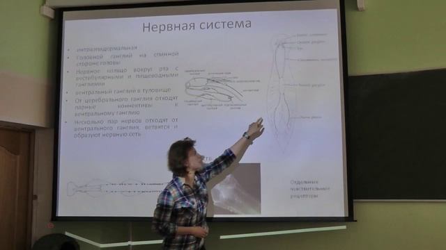 Зоология беспозвоночных. Лекция 4. Римская-Корсакова Н.Н. edit