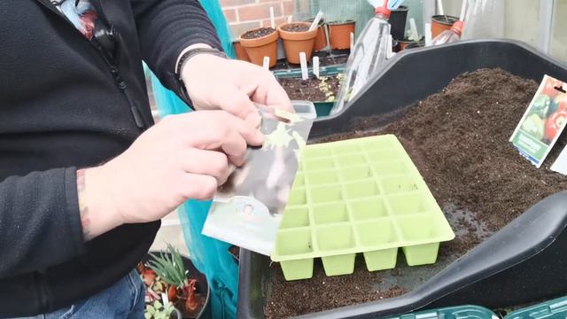 Sowing Flowers , Sugar snap peas & more смотреть онлайн
