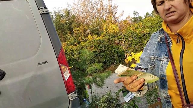 Рынок плодовых и декоративных саженцев.  ГОРЯЧИЙ КЛЮЧ. смотреть онлайн