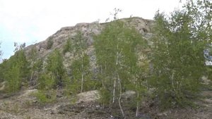 Ширяево. Однодневная поездка из Самары на теплоходе за 136 рублей