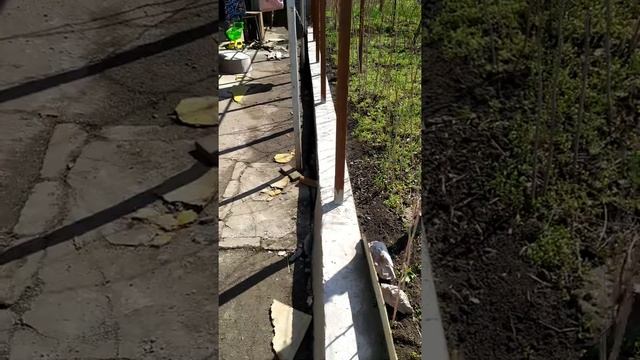 Забор из профнастила своими руками