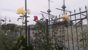 #vlog Жизнь в Болгарии. Хмурый ноябрь 2020. Что сейчас происходит в Варне.