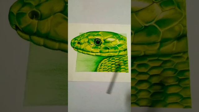 How to Draw a REALISTIC GREEN MAMBA in 5 Steps...You WON'T Believe What Happens Next!