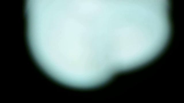 Fujifilm SL1000 Zoom,Lizards and Lamp смотреть онлайн