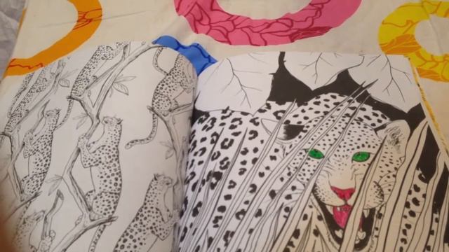 Раскраска-Антистресс Фантастические кошки (часть первая) смотреть онлайн