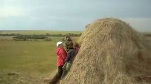 Как залезть на стог сена.avi