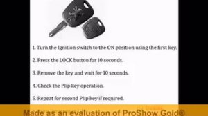 PEUGEOT 307 PLIP  - Remote Key Programming-BY BABAK