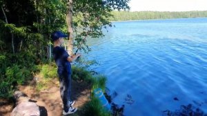 РЫБАЛКА НА СОМИКОВ В ЛЕНИНГРАДСКОЙ ОБЛАСТИ | #рыбалка2022 | #ловля | #рыбалкавленобласти | #сомики