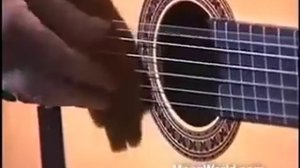 Stefan Flamenco Guitar: Persia.  Stefan Schyga, Guitar