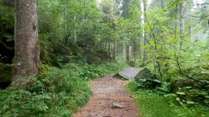 всему свое время