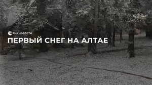 В Горном Алтае выпал первый снег