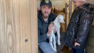 Новое приобретение в парк Волков ⁉️ запустили Лайчат к ВОЛЭНДАМ ! Банда в сборе!!!