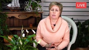 10 Советов для СУПЕР Урожая Огурца ?  Как правильно посадить Огурцы в Открытом Грунте