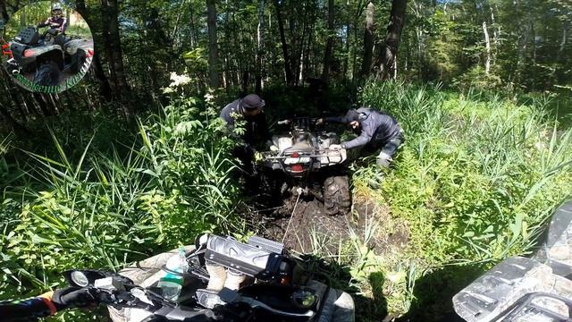Выходные в марийских лесах смотреть онлайн