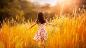 Ярко летом солнце светит