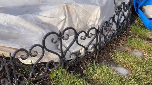 Рано укрыла розы! Теперь проветриваю! смотреть онлайн