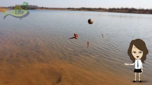 Фидер для слабаков! Как ловить крупную рыбу ведрами на донку резинку? Секреты рыбалки на донку!