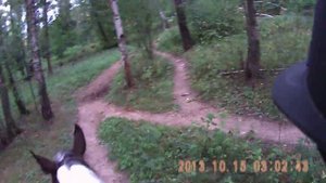 Верховая езда на лошади по лесу (ШВЕ "Династия").