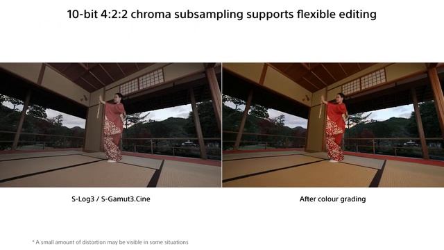 Sony Alpha 1 Presentation Overview