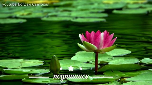СРОЧНО ! БУДУЩЕЕ ПЛАНЕТЫ И ЦИВИЛИЗАЦИИ в Квантовый Переход