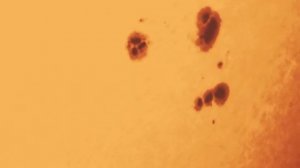 How to safely aim at the Sun with the Red Dot Finder on your telescope? #sunspots  #nexstar127slt