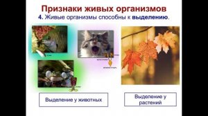 Тема 1. Живые организмы. Отличие живых организмов от тел неживой природы