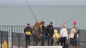Керчь. Набережная Вот такую чуларку ловят рыбаки на пирсе.
