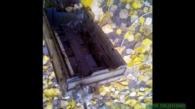 Мои находки на поисковый магнит 2х200. №6 (перезалив)