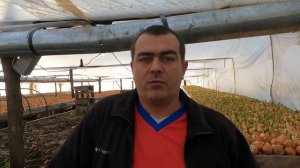 А ВЫ ЗНАЕТЕ КАКАЯ НУЖНА ТЕМПЕРАТУРА ДЛЯ ВЫГОНКИ ЛУКА НА ПЕРО_.mp4