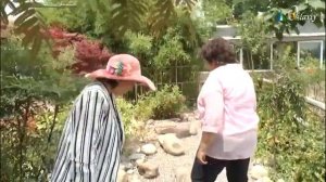 программа Домашний сад - Сад в японском стиле часть 1 (15.06.18)