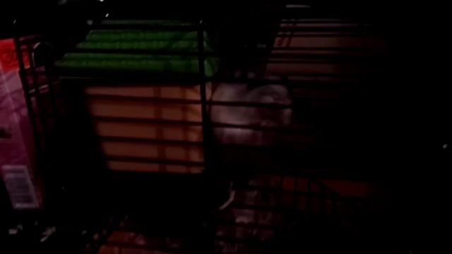 Ночь, как день, для моих малышей) смотреть онлайн