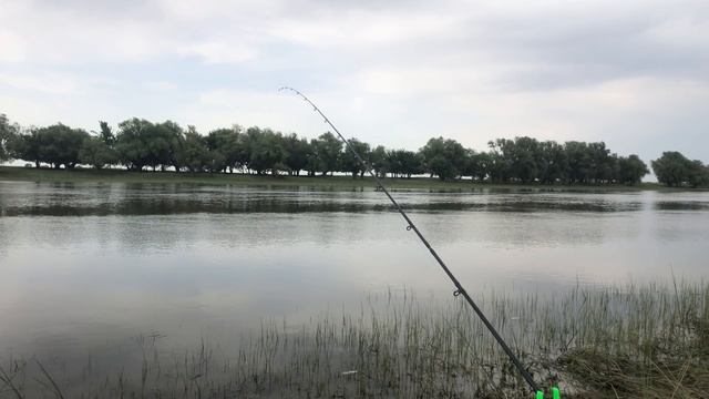 БЮДЖЕТНАЯ ЛОВЛЯ САЗАНА / РЫБАЛКА НА КУКУРУЗУ смотреть онлайн