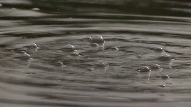 Дикий Китай 5 часть смотреть онлайн