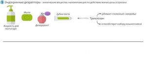 Парадокс растений | Стивен Гандри (часть 2)