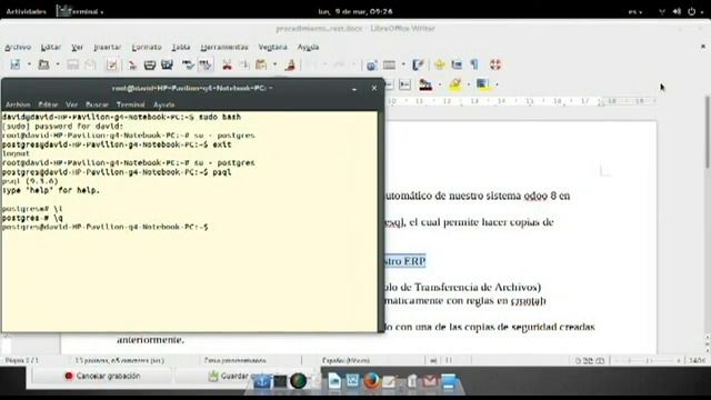 Como Respaldar odoo en ubuntu debian смотреть онлайн