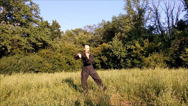 Тайцзи 24 форма, Школа уданского ушу Золотой Цветок|Taiji 24 form, Wudang Wushu Golden Flower Schoo смотреть онлайн