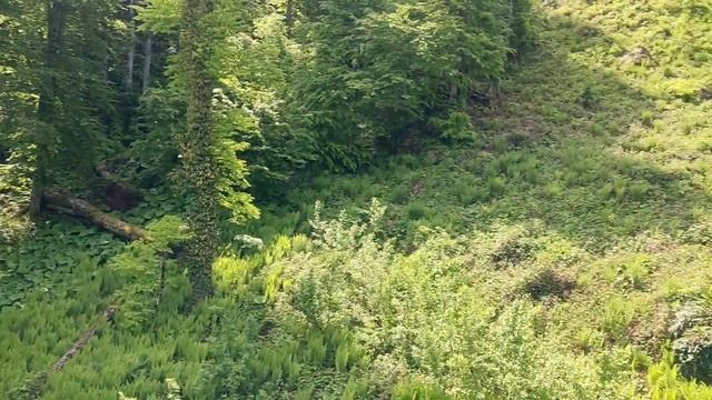 Водопад Поликаря май 2023#Краснаяполянасочи
