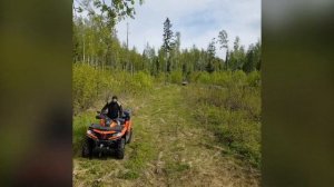 Тест драйв машинки CF moto 500