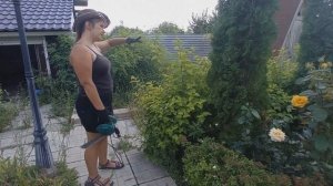 Как стричь кустарники шариком, изгороди, электрическим кусторезом