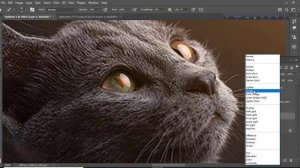 Photoshop Manipulation Tutorial  || Cat Butterfly || Glow Effect #gloweffect #photoshop#manipulatio