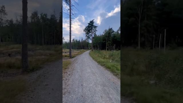 Вода из под крана в Швеции; пить или не пить?