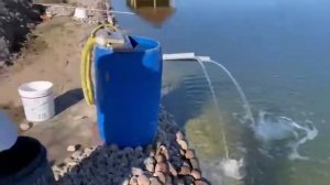 форель и раки выпускаю в пруд