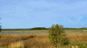 Капустные поля. Республика Марий Эл. Горномарийский район