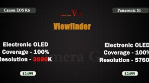 Canon EOS R6 vs Panasonic Lumix S1