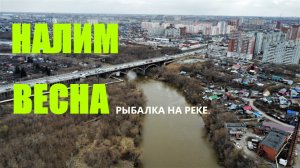 Налим . Рыбалка на реке. Весна 2022.