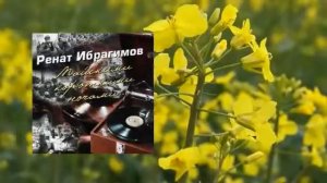Ренат Ибрагимов - Майскими короткими ночами