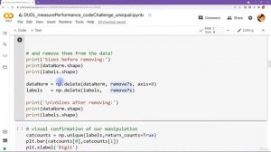 13.6 Code Challenge  MNIST with unequal groups