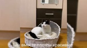 "Наш семейный досуг" семья Макаровых 1 "в" класс